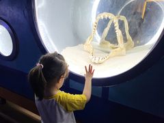 -烟台海昌鲸鲨海洋公园