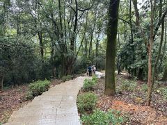 -岳麓山风景名胜区