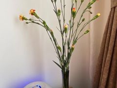 -双季花艺园艺市场(浦东店)