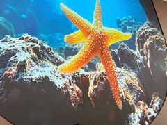 -珠海棕泉水疗酒店(拱北口岸高铁站店)