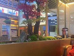-鲜潭蒸汽石锅鱼(五道口购物中心店)