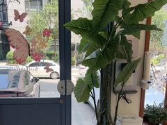 -山与蓝·轻糖鲜果蛋糕(勒泰店)