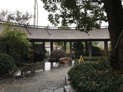 -航空小镇温泉