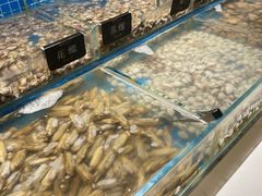 -加餐海鲜自助(集美银泰百货店)