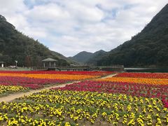 -广州市石门国家森林公园
