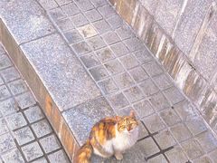 -Chili's Cafe&Bar奇利斯(滨江店)