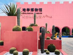 -漳州滨海火山岛自然生态风景区