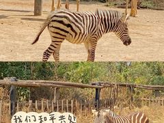 -云南野生动物园