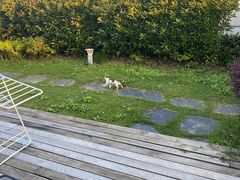 -盐官日光域房车营地·有盐餐厅