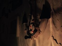 -Sirena海妖日咖夜酒