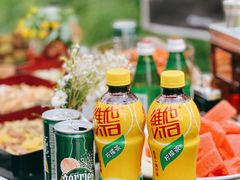 -黑龙江省森林植物园