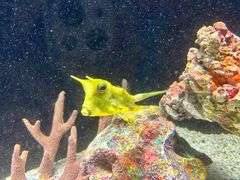 -上海海洋水族馆