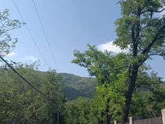 -北京西山国家森林公园