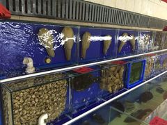 iphone_upload_pic-海鲜城大家餐厅