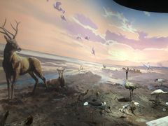 -中国湿地博物馆