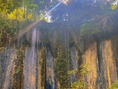 -西双版纳原始森林公园