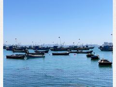 -海源公园