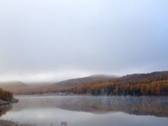 iphone_upload_pic-塞罕坝国家级自然保护区