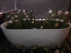 -小仙女采耳·按摩·SPA(深圳旗舰店)