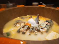 -滇小鱼·云南野生菌火锅(上杭路店)