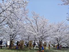 -自然谷恐龙园