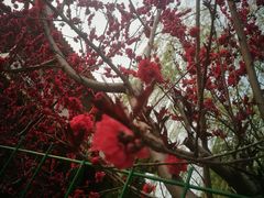 -兴芮温泉度假区