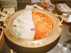 -熊喵来了火锅(太原里第2分店)