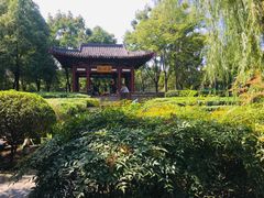 -武汉园博园(武汉自然博物馆)