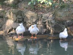 -兰亭风景区