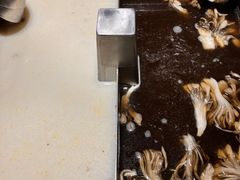 -海底捞火锅(公益西桥店)