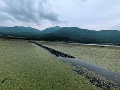 -腾冲北海湿地