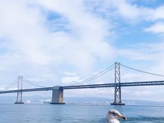 -旧金山-奥克兰海湾大桥
