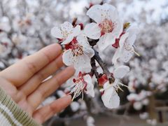 -红石寨旅游度假区