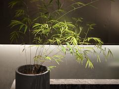 -望京辣宴·古法川菜(望京店)