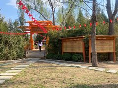 -太阳宫公园