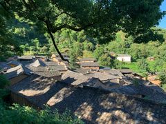-杨家堂村