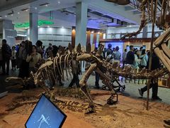 -自贡恐龙博物馆