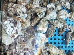 海蛎子-前王院•巧克力海鲜市集餐厅(万平口店)