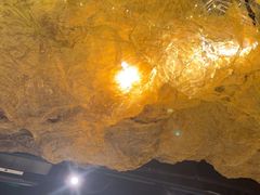 -顶特勒·黄鱼馆·特色菜(上海大世界店)