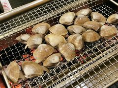 朝鲜大纹贝-白玉·朝鲜族烤串(南山店)