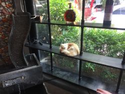 -16番发型