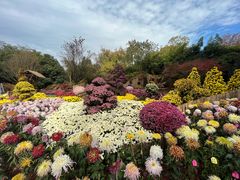 -杭州植物园