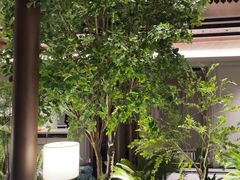 -狮王府淮扬菜(夫子庙老门东店)