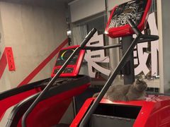 -KingBull私教健身&格斗订制(龙井商业中心店)