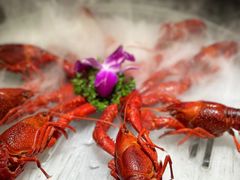 -京悦南门涮羊肉·羊蝎子火锅(田林路店)