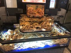 -蟹道乐(道顿堀本店)
