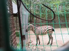 -青藏高原野生动物园