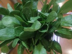 -正福居老北京正宗铜锅泉水涮肉(彰化路店)