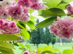 -贵州省植物园
