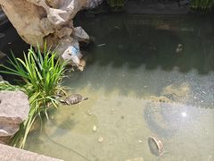 -文楼·淮扬菜·淮安早茶(河下古镇翔宇店)